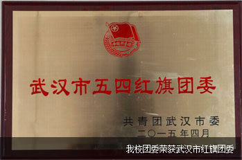武汉市五四红旗团委